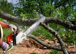 Leaf Removal in Lewiston, UT